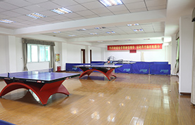 Table tennis arena 